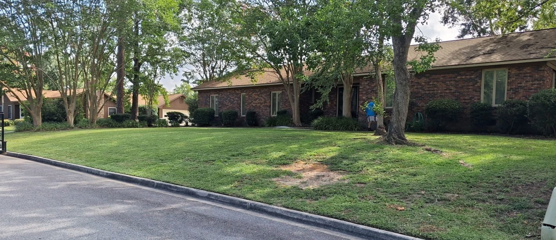 Mowed front lawn at a brick ranch home with crepe myrtles