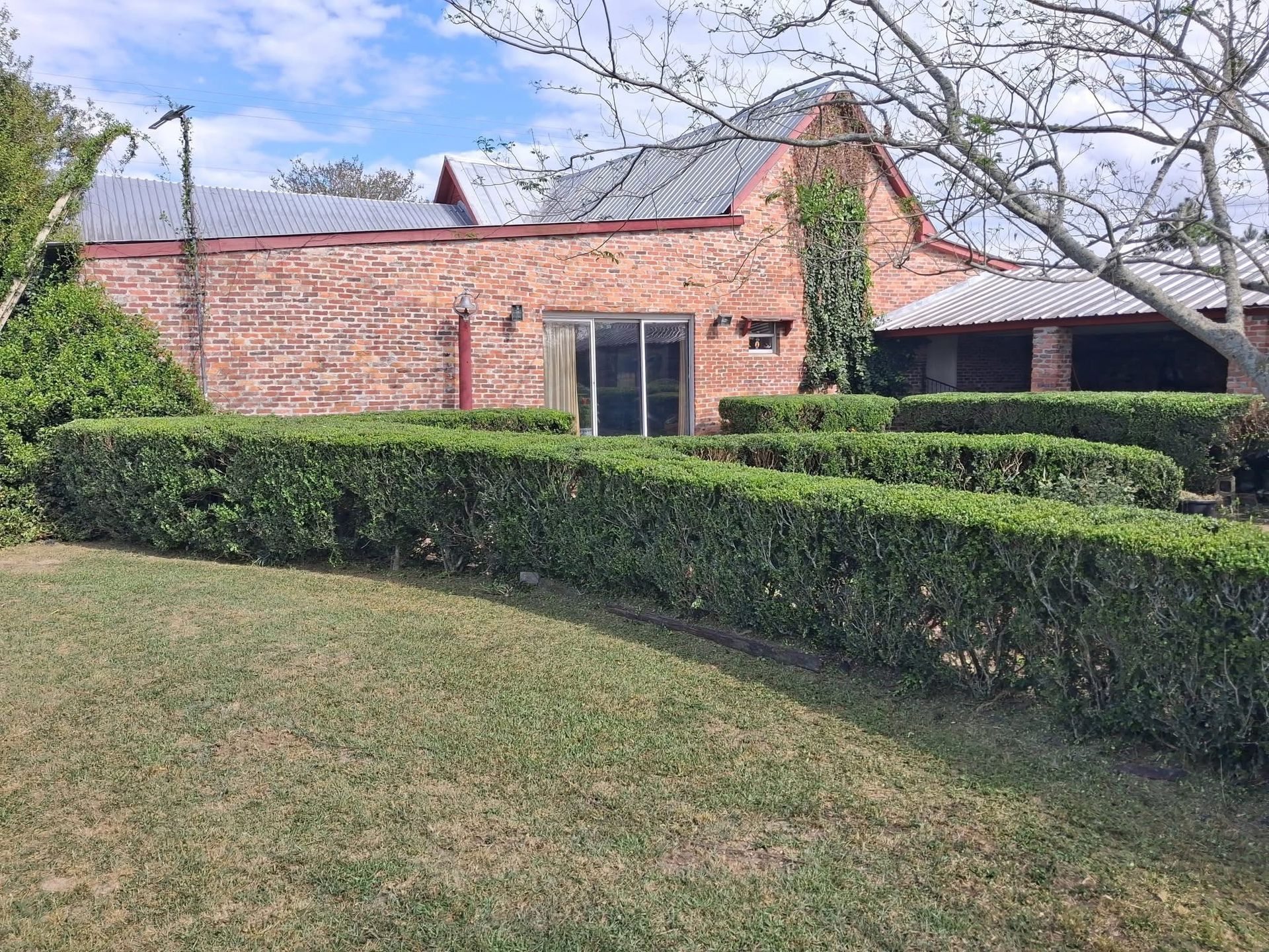 Long, neatly trimmed hedges beside a brick building